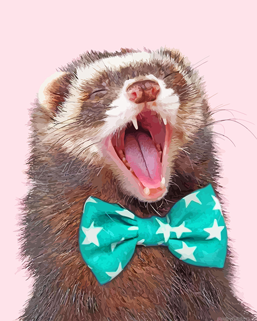 Ferret Painting By Numbers.png