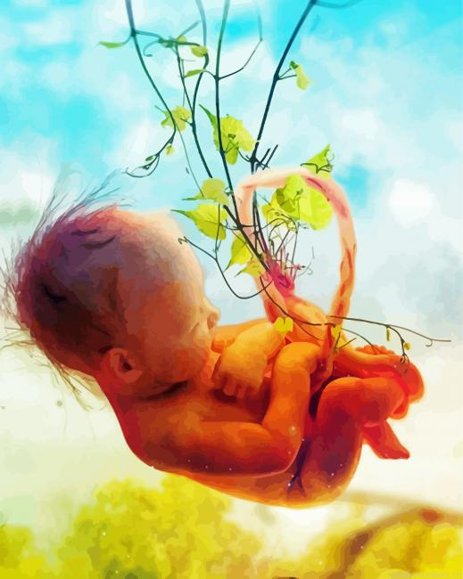 Fetus Painting By Numberss.png