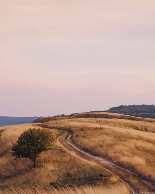 Field Landscape Painting By Numberss.png