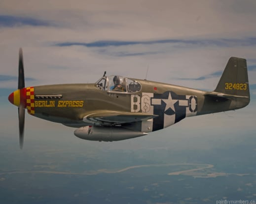 Fighter Airplane P51 Mustang Flight Painting By Numberss.png