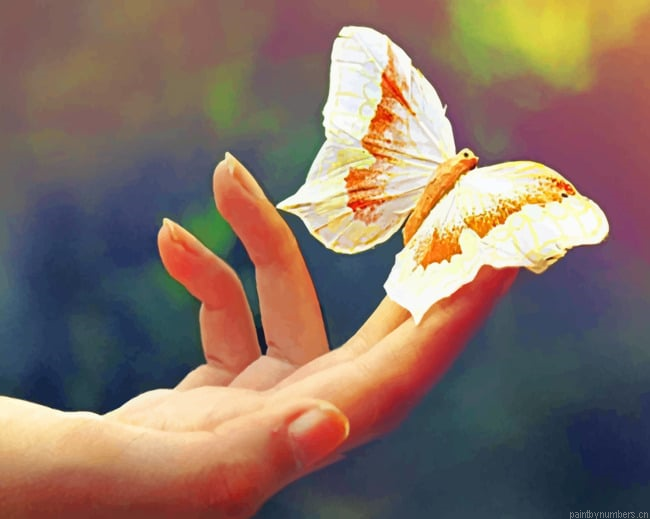 Finger Butterfly Insects Painting By Numbers.png