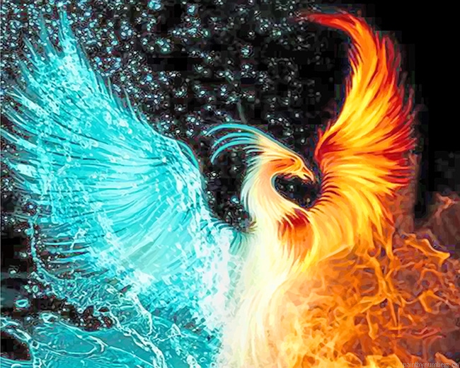 Fire And Water Phoenix Painting By Numbers.png