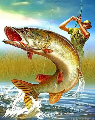 Fisherman Catching Bass Fish Painting By Numbers.png