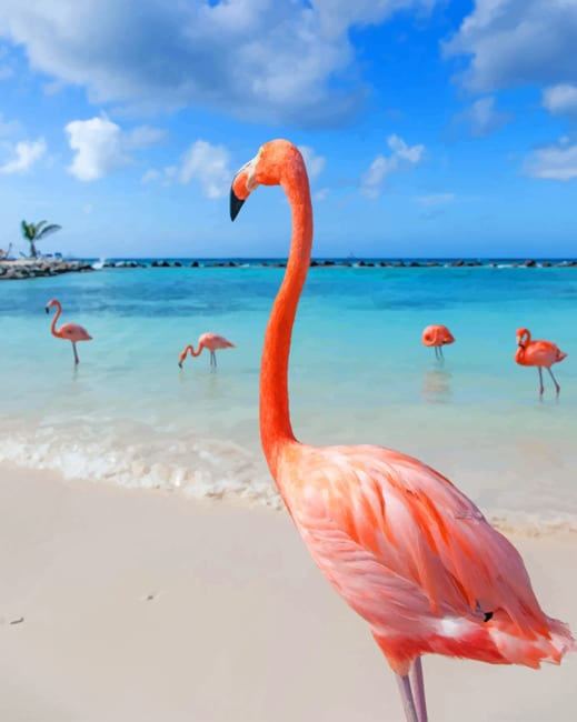 Flamingo Birds In The Beach Painting By Numberss.png
