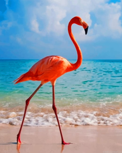 Flamingo In The Beach Birds Painting By Numberss.png