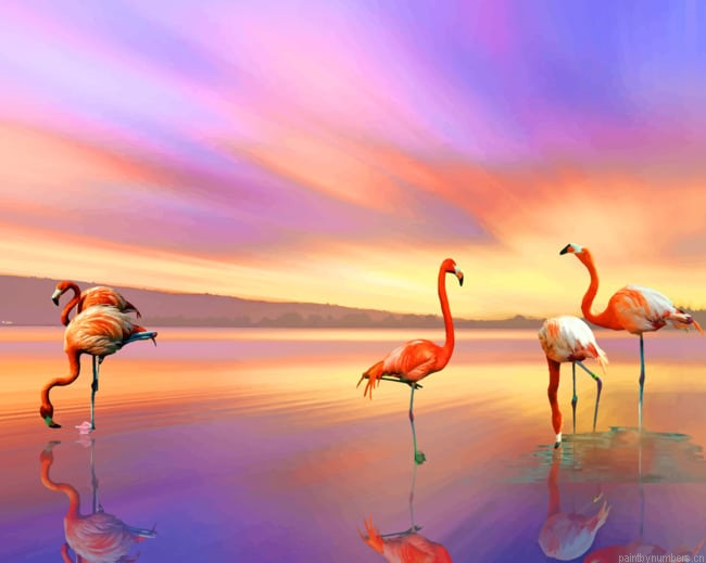 Flamingos At Sunset Birds Painting By Numbers.png