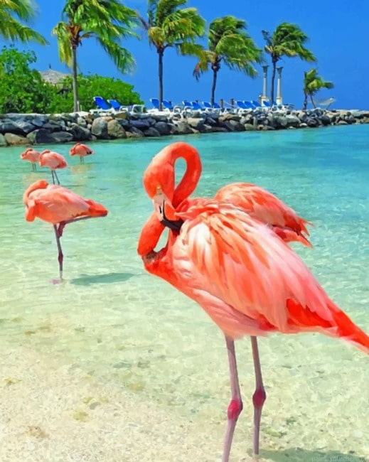 Flamingos In The Beach Birds Painting By Numberss.png