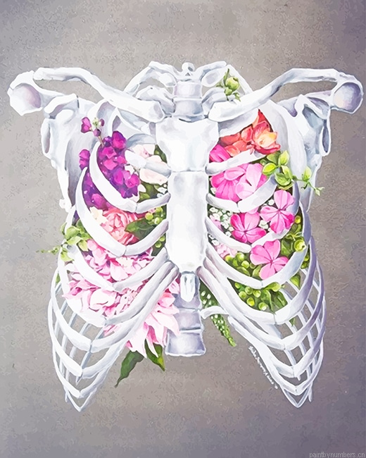 Floral Anatomy Painting By Numbers.png