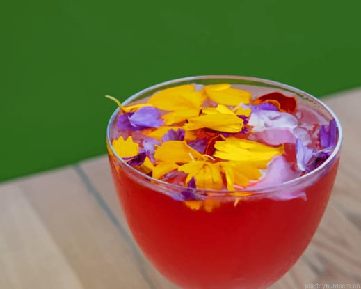 Floral Cocktail Drinks Painting By Numberss.png