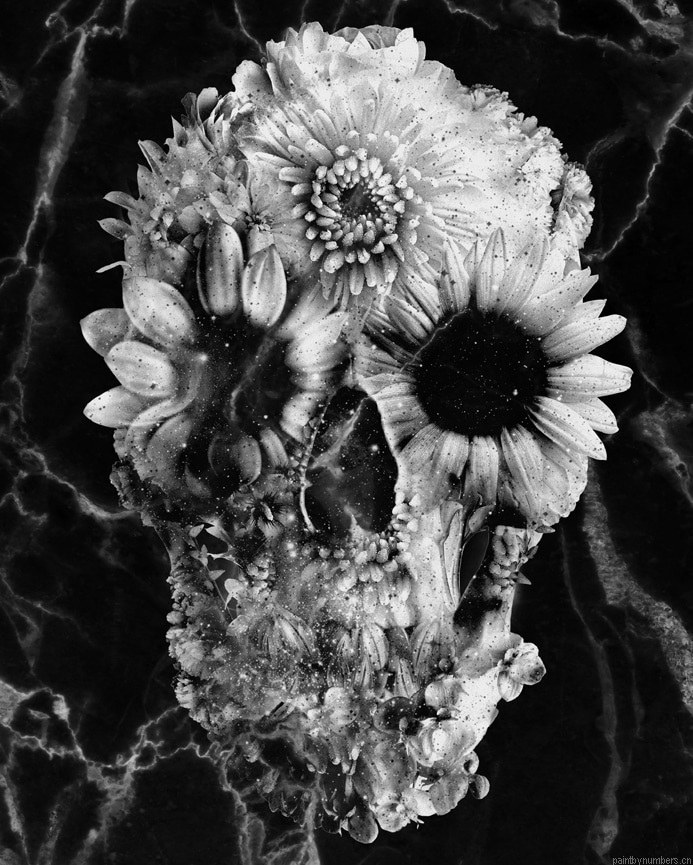 Floral Skull Marble Black And White Painting By Numbers.png