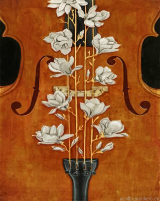 Floral Violin Painting By Numbers.png