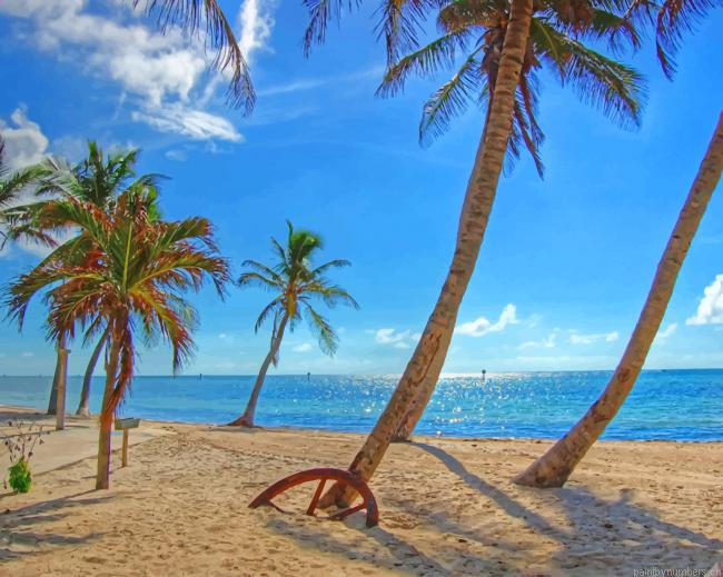 Florida Palms Beach Painting By Numberss.png