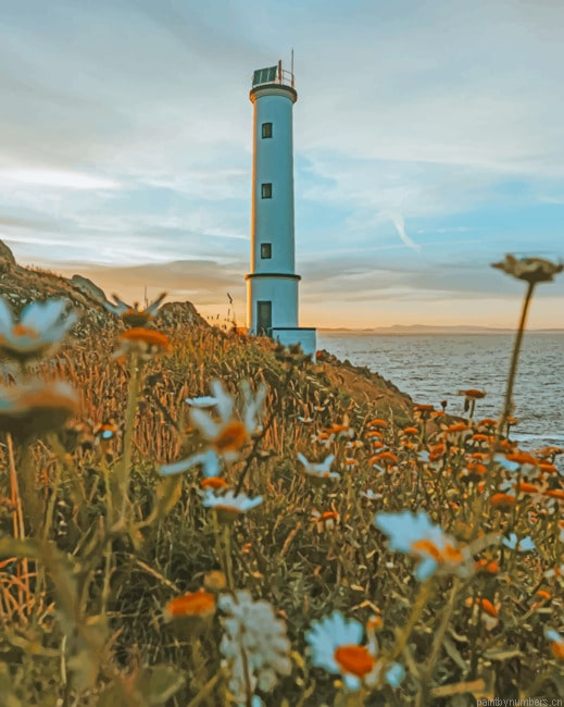 Flower Field And Light House Seascapes Painting By Numberss.png