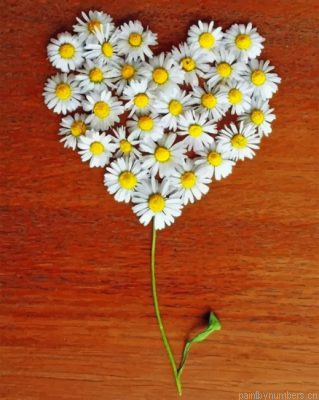 Flower Heart Painting By Numbers.png
