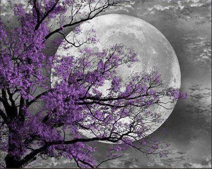 Flower Tree Moon Landscapes Painting By Numbers.png