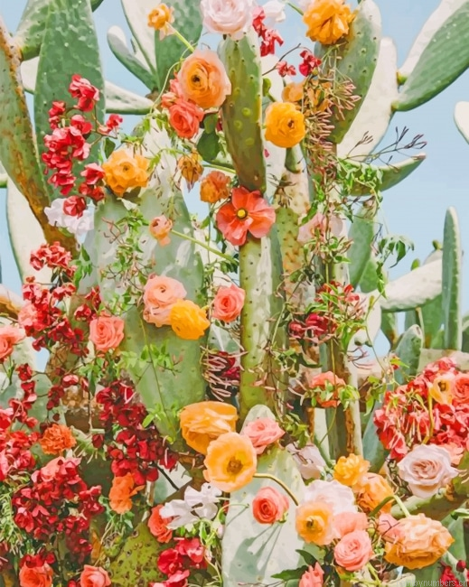 Flowering Cactus Plants Painting By Numbers.png