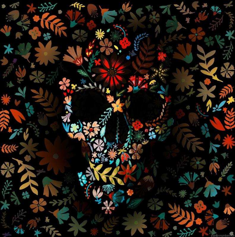 Flowerly Darkness Skull Painting By Numbers.png