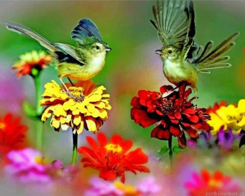 Flowers And Birds Painting By Numbers.png