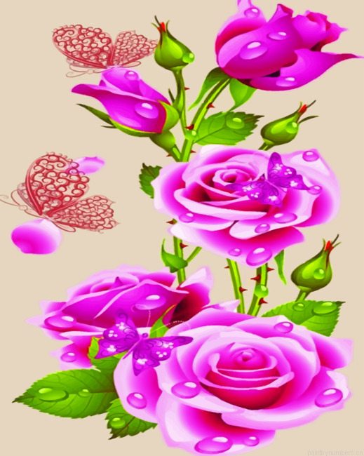 Flowers And Butterflies Painting By Numberss.png