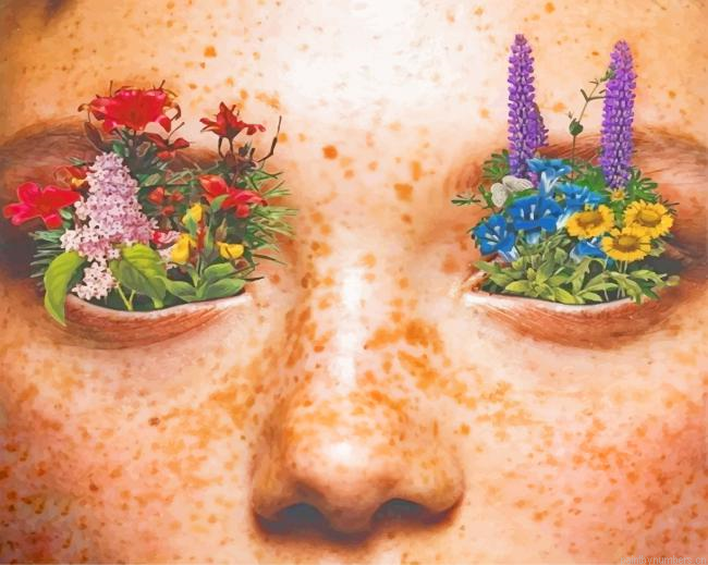 Flowers Eyes Painting By Numberss.png