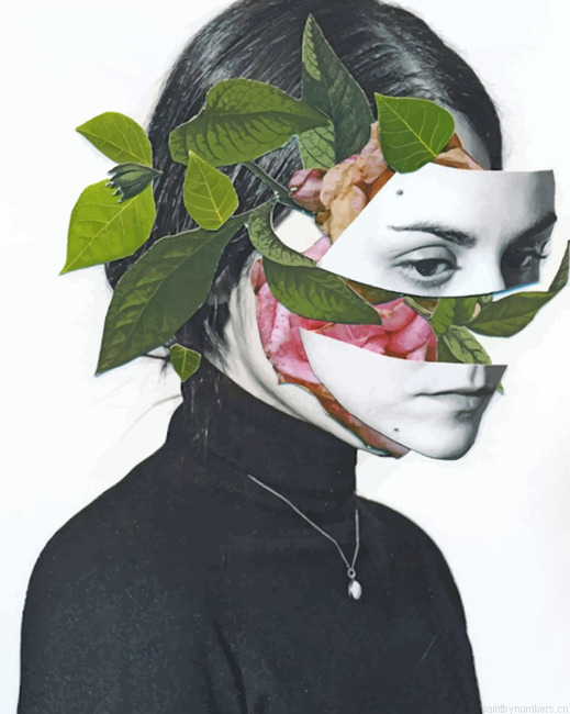 Flowers Girl Face Arts Painting By Numberss.png