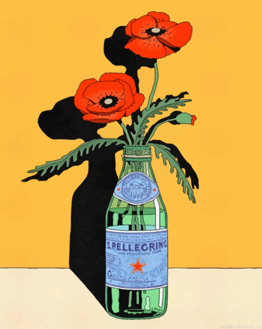 Flowers Illustration Painting By Numbers.png