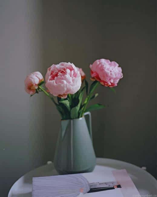 Flowers In Home Bucket Painting By Numberss.png