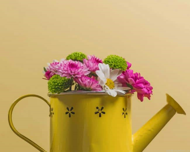 Flowers In Yellow Watering Can Painting By Numberss.png
