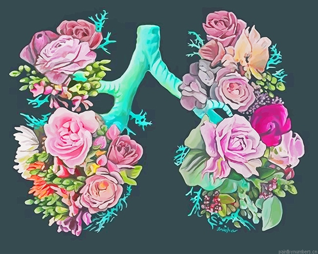 Flowers Lungs Painting By Numbers.png