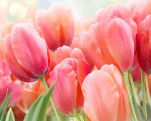 Flowers Pink Roses Painting By Numbers.png