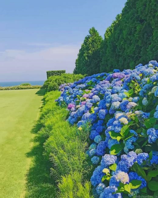 Flowers Plants Painting By Numberss.png