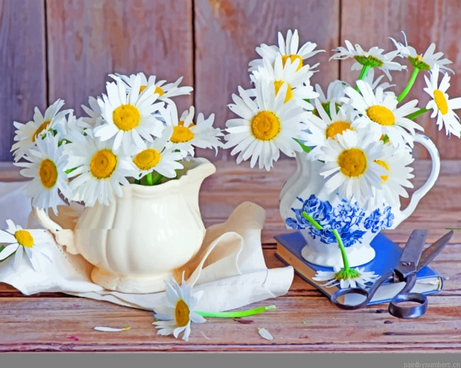Flowers Still Life Roses Painting By Numbers.png