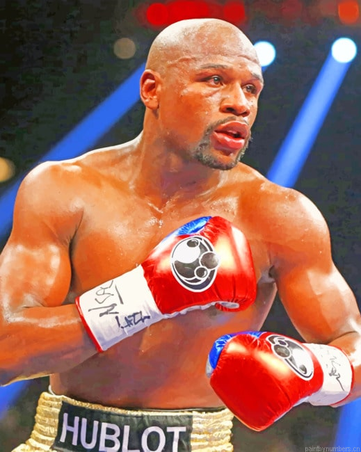 Floyd Mayweather Box Painting By Numberss.png