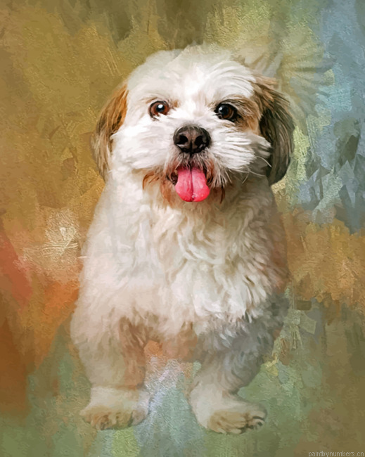 Fluffy Shih Tzu Painting By Numberss.png