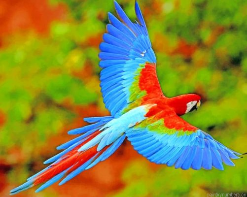 Flying Colorful Scarlet Macaw Painting By Numberss.png
