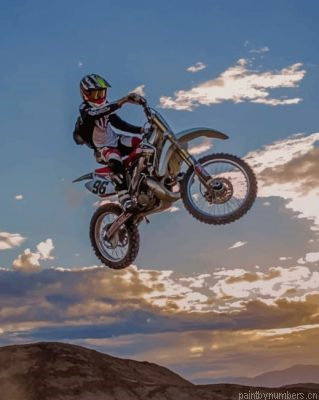 Flying Motocross Painting By Numbers.png