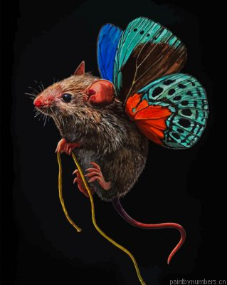 Flying Mouse Painting By Numbers.png