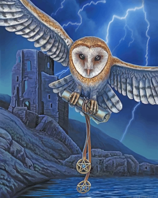 Flying Owl Painting By Numbers.png