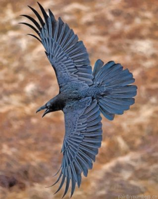 Flying Ravens Painting By Numbers.png