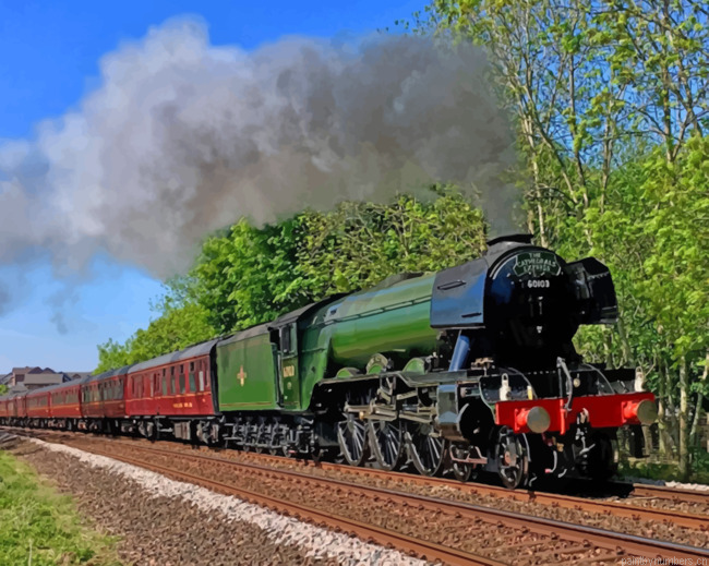 Flying Scotsman Painting By Numbers.png
