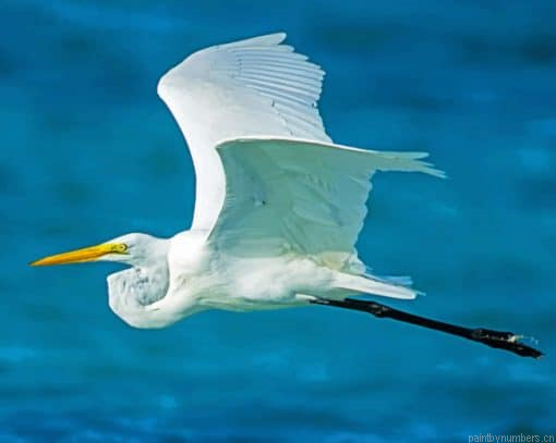 Flying White Bird Painting By Numbers.png