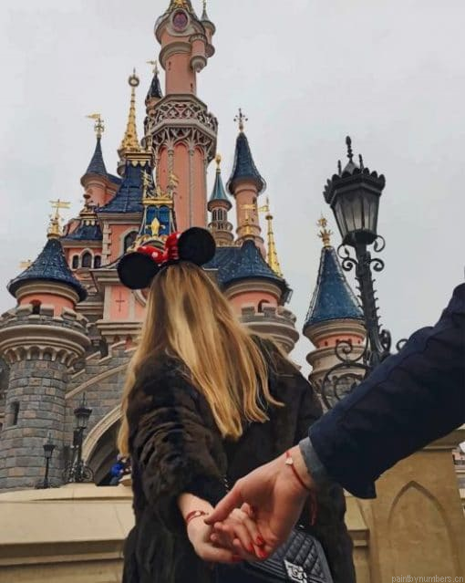 Follow Me To Disneyland Castle Painting By Numbers.png