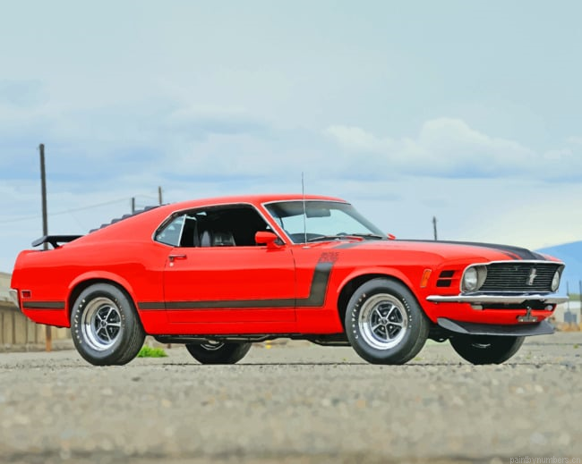 Ford Mustang Boss Cars Painting By Numberss.png