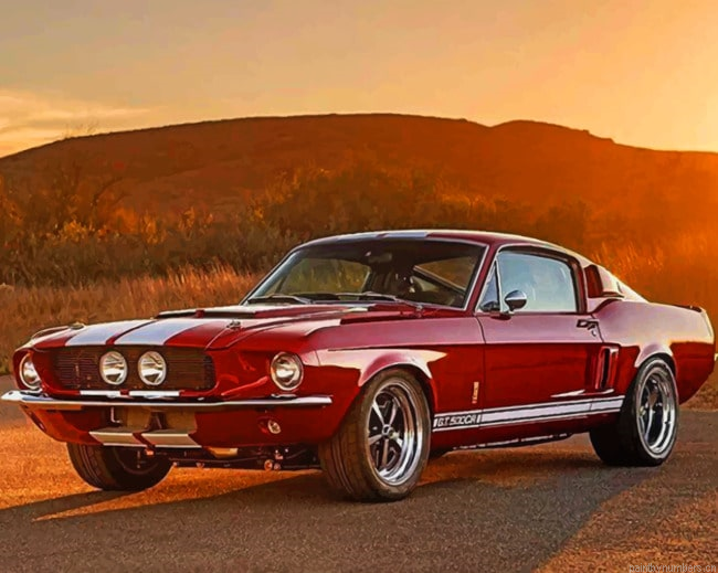 Ford Mustang Classic Shelby Painting By Numberss.png