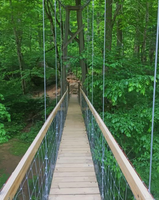 Forest Bridge Nature Painting By Numberss.png