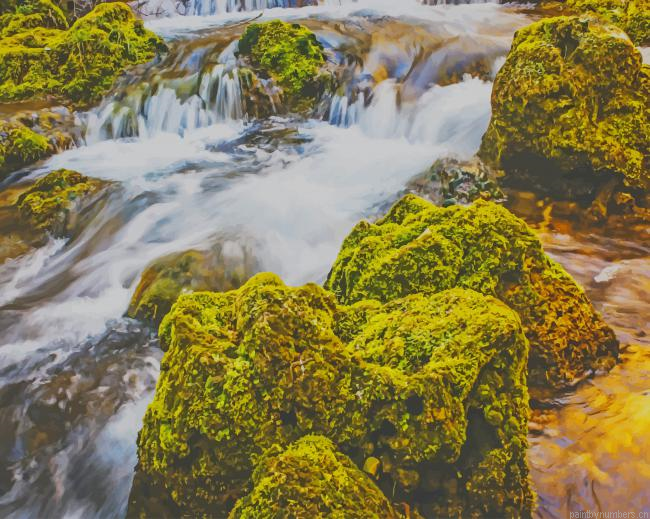 Forest Creek Nature Painting By Numberss.png