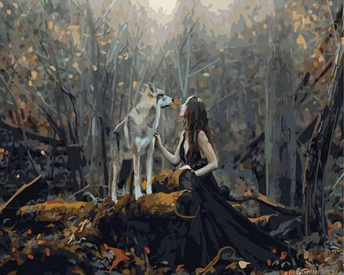Forest Woman With A Wolf Painting By Numberss.png