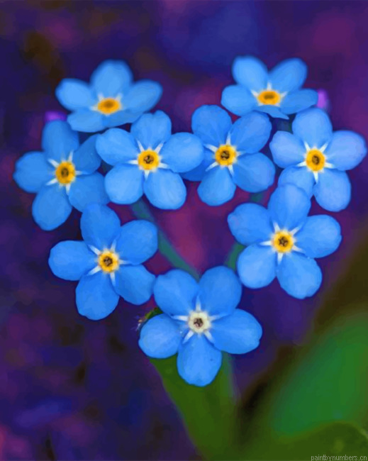 Forget Me Not Painting By Numbers.png