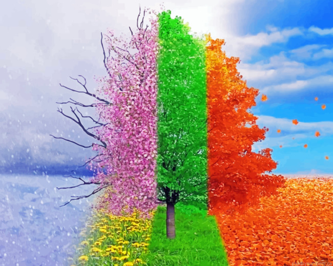 Four Seasons Tree Painting By Numberss.png