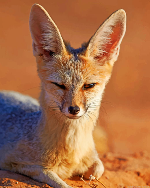 Fox In Jungle Animals Painting By Numberss.png